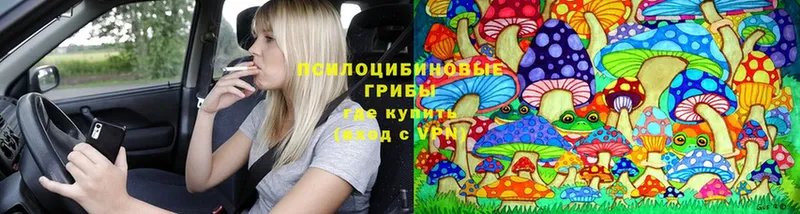 Псилоцибиновые грибы Magic Shrooms  Ярцево 